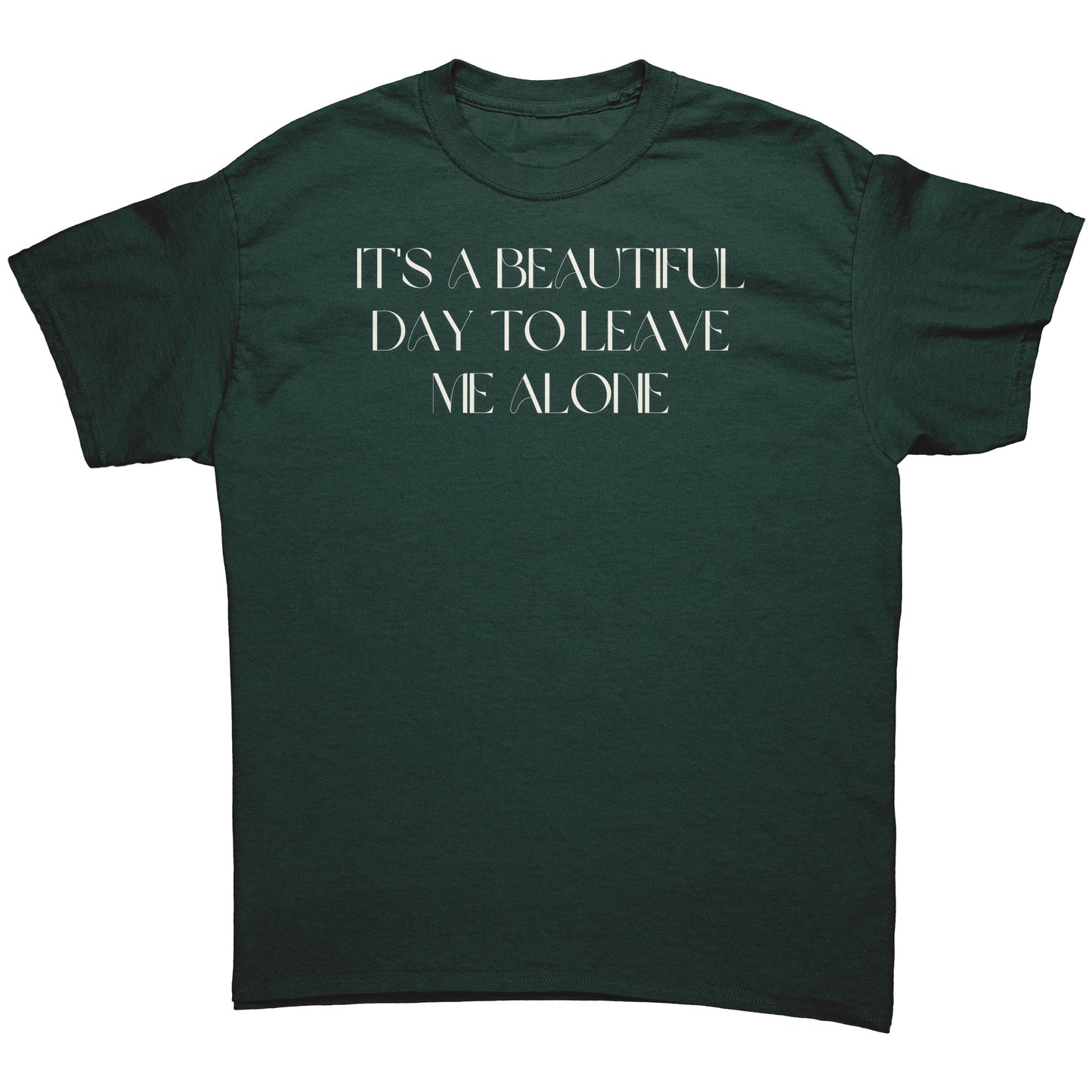It's a beautiful day to leave me alone men's tee wl