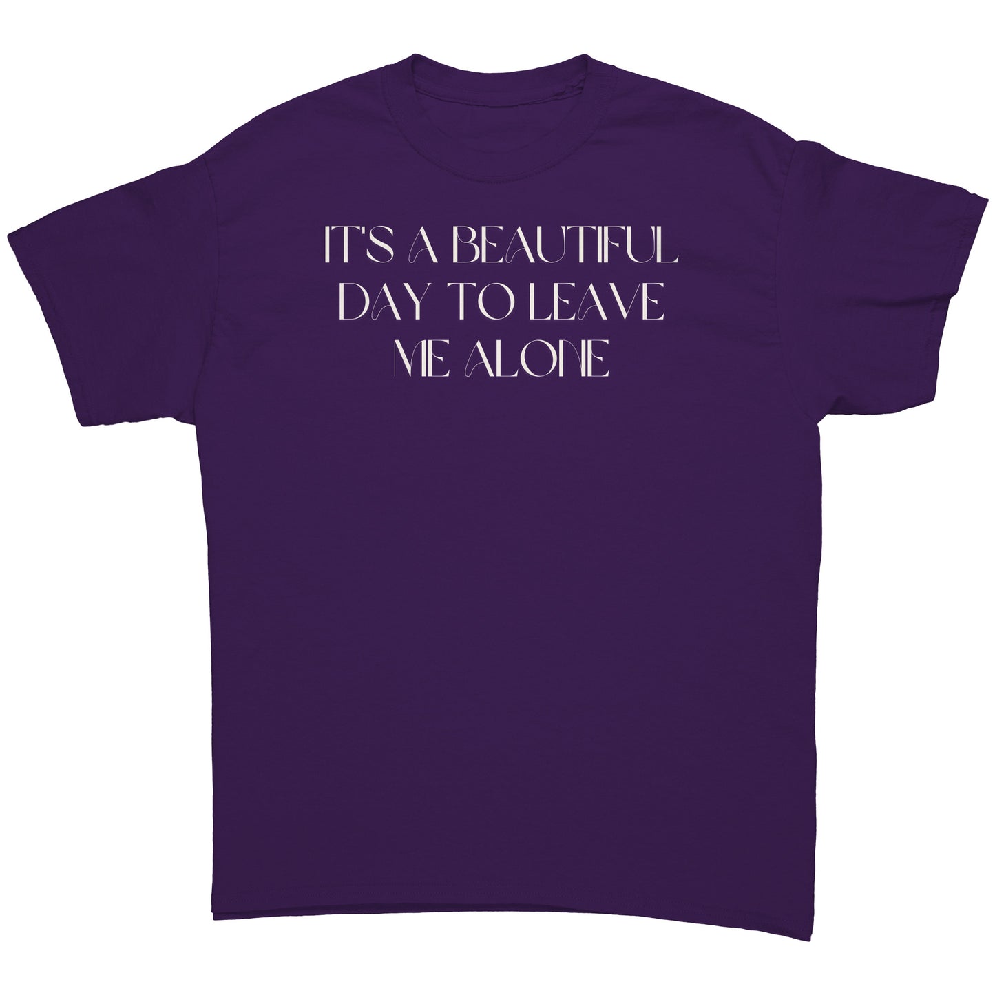 It's a beautiful day to leave me alone men's tee wl