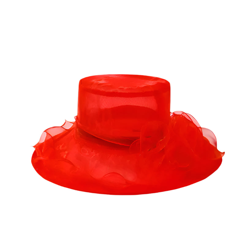 Wide Brim Organza Hat